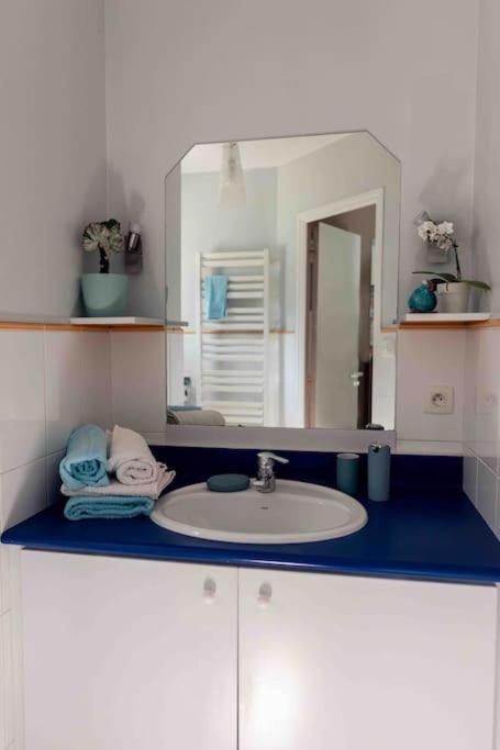 Maison Et Jardin 2Chambres 2Salles De Bain Sene Luaran gambar